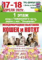 Международная выставка кошек и котят