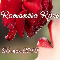  Romantic Rose  I love photo club